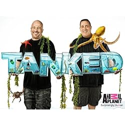 Tanked Season 2