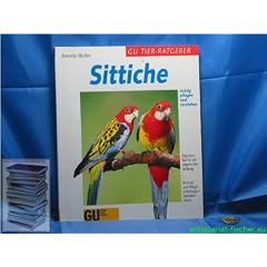 Sittiche richtig pflegen und verstehen