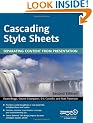 Cascading Style Sheets: Separating Content From Presentation 2nd Edition