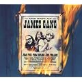 The Best Of The James Gang (2CD)