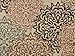 Contemporary Brown and Beige Modern Floral Flowers Area Rug (2' x 3')