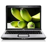 HP DV2320US Pavilion 14 Laptop (AMD Turion 64 X2 Processor TL 56, 2 GB RAM, 160 GB Hard Drive, SuperMulti DVD Drive, Vista Premium)