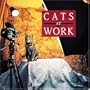 Cats at Work