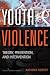 Image of Youth Violence: Theory, Prevention, and Intervention