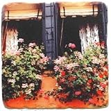 Buon Giorno Window Box 6" Wall Decor Tile