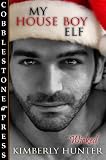 My House Boy Elf