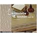La dentelle torchon : Volume 2