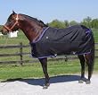 Nylon 420D Quarter Horse Cut Sheet - Black Open Front