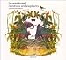 Piranha-Raindrops and Elephants: Piranha Re: Interpretations [Vinyl]