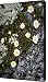 Arctic Flowers Canvas Print / Canvas Art - Artist Konstantin Dikovsky