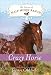Crazy Horse (Horses of Half Moon Ranch)