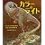 カラー＆ライト ～リアリズムのための色彩と光の描き方～