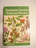 Evergreen garden trees and shrubs in colour
