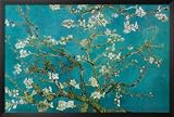 Almond Blossom Lamina Framed Poster Print by Vincent van Gogh, 38x26