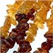 Baltic Amber Graduated Color Chips Beads 5-7mm / 15.5Inch Strand