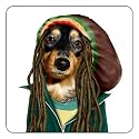 Takkoda Untersetzer MARLEY