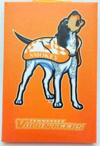Tennessee Volunteers Canvas Art
