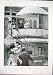 Ascot Races Gold Cup Alexandra Rostrum Antique Print