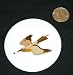 3 button / pin printed with insect, feeding, bird