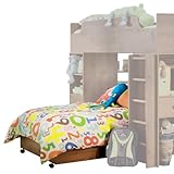 Twin Size Bed with Casters Contemporary Style in Sunny Pine Finish