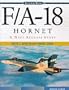 F/A-18 Hornet: A Navy Success Story