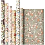 Jillson Roberts All-Occasion Gift Wrap in Assorted Designs, In the Garden, 6 Roll-Count (ERW004)