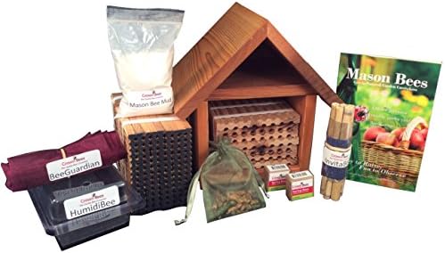 Crown Bees BeeWorks Chalet with Bees