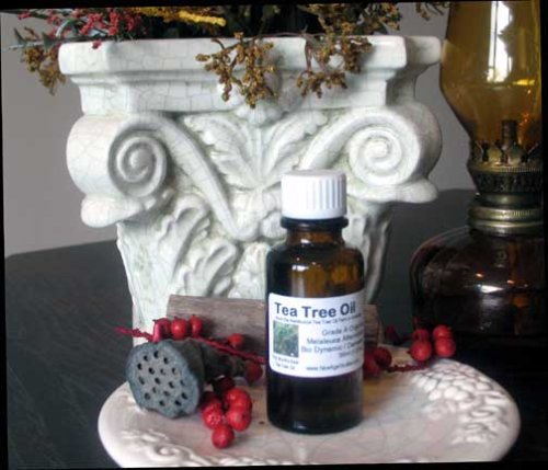 melaleuca alternifolia oil. Melaleuca alternifolia: At