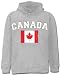 Canada Vintage Flag International Hoodie #1193