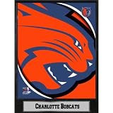 NBA Plaque- 2011 Charlotte Bobcats Logo Case Pack 14 -