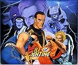 Art of Fighting [Online Game Code]