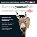 Mendelssohn / Laredo / Scottish Chamber Orchestra - Surround Yourself With a Midusmmer Night's Dream [DVD-Audio]
