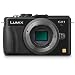 Panasonic Lumix DMC-GX1 16 MP Micro 4/3 Compact System Camera with 3-Inch LCD Touch Screen Body Only (Black)