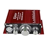 12V 2 CH Mini Digital Audio Power Amplifier AMP For HiFi MP3 Car