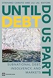 Until debt do us part : subnational debt, insolvency, and markets