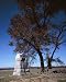 The Angle, Gettysburg - Memorable 16x20 Photographic Print by Carol M. Highsmith