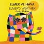 Elmer's Weather (English-Turkish) (Elmer series)