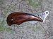 Suchen : Haller Taschenmesser Moby Dick