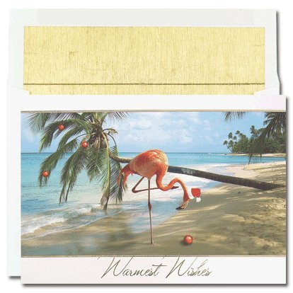 Pink Flamingo Santa Boxed Holiday Cards