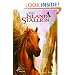 The Island Stallion (Turtleback School & Library Binding Edition) (Black Stallion)