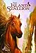 The Island Stallion (Turtleback School & Library Binding Edition) (Black Stallion)
