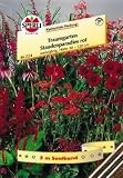Eigenschaften Sperli  / Blumenmischung, Staudenparadies Rot, Saatband 5 m