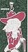 Univ Of Mississippi Rebel Giant Enamel Enamel Pendant -14K/10K, Stainless Steel or Gold Plated