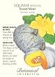 Winter Squash "Sweet Meat" Heirloom Seeds