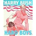 Hard Boys (Hardcover)