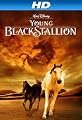 play video on Amazon Instant Video