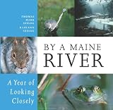 By a Maine River: A Year of Looking Closely