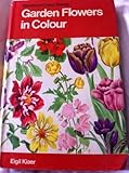 Garden flowers in colour