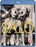  Salo