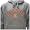 University of Illinois Campus Yard Printed Fleece Hoodie (Medium)